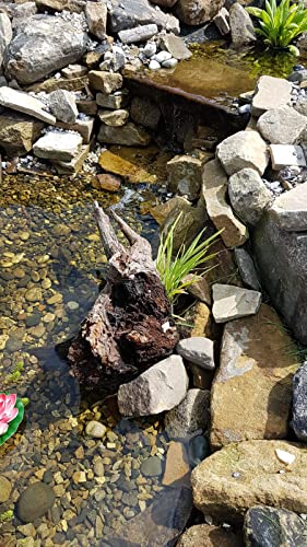 PondH2o 8" (20cm) Round Water Garden Pond Aquatic Plastic Slotted Mesh Plant or Flower Baskets | Value 6 Pack, Plastic Planting Pots for Ponds, Aquariums, Aquaponics, Hydroponics