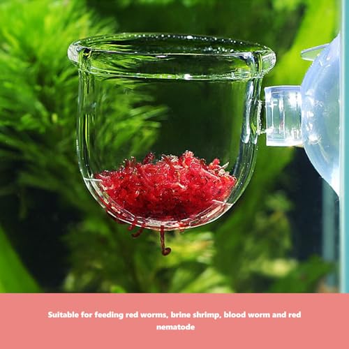 PRETYZOOM 4pcs Aquarium Fish Tank Feeding Cups with Suction Cup, Acrylic Fish Feeder Bowls for Bait and Food Holding, Small and Large Sizes for Aquarium and Shrimp Feeding Supplies