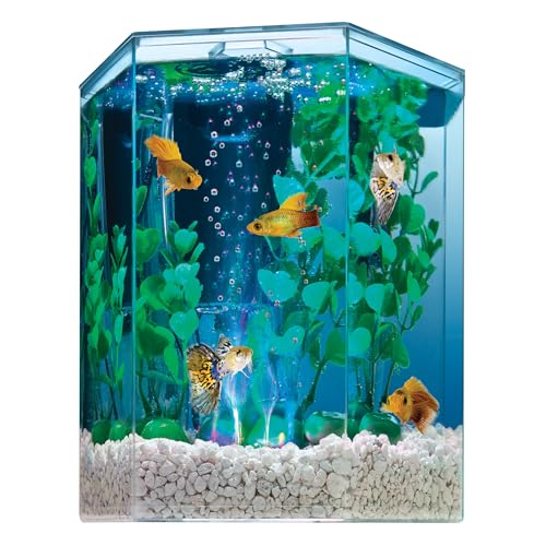 Tetra Bubbling LED 1 Gallon Starter Fish Tank Kit For Freshwater Fish - size: 1 Gallon