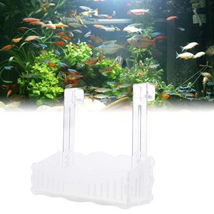 POPETPOP Fish Tank Aquarium Planter Fish Tank Plant Holder Aquarium Planting Cup Transparent Aquatic Plant Cup Shelf for Home Dorm Store Supplies