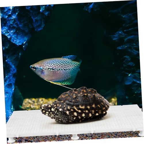SUPVOX 1set Fish Tank Isolation Plates Tank Divider and Aquarium Isolation Board for Fish Separation and Reusable Mesh Panel Support Legs