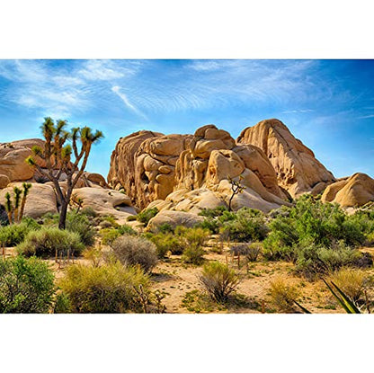 5x3ft Joshua Tree National Park Natural Photography Backdrop American Western Desert Weathering Rock Drought-Tolerant Plant Cactus Photo Event Party Background Portrait Photo Props Polyester - size: 5x3ft-P