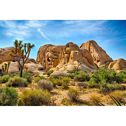 8x5ft Joshua Tree National Park Natural Photography Backdrop American Western Desert Weathering Rock Drought-Tolerant Plant Cactus Photo Event Party Background Portrait Photo Props Polyester - size: 8x5ft-P