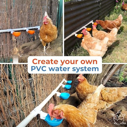 Lil'Clucker Large Automatic Chicken Waterer Cups with 1/2" PVC Tee Fittings - Chicken Water Cups, Chicken Water Feeder, for Chicks, Duck, Goose, Turkey - Poultry Waterer Feeder Kit (Orange, 5-Pack) - size: 5-Pack