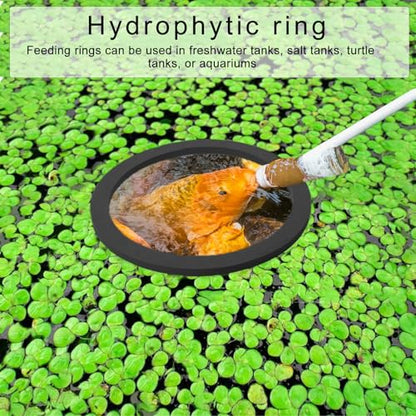 80-200mm Floating Plant Rings Floating Plant Holder Fishtank Habitat Decoration Aquariums Food Feeding Circles 5PCS