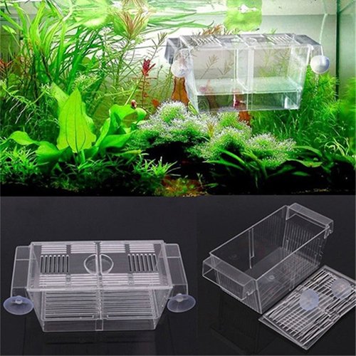 Fish Breeding Box Tank Aquarium Fish Tank Guppy Double Breeding Breeder Rearing Trap Box Hatchery Aquarium Isolation Box for Baby Shrimp Guppy