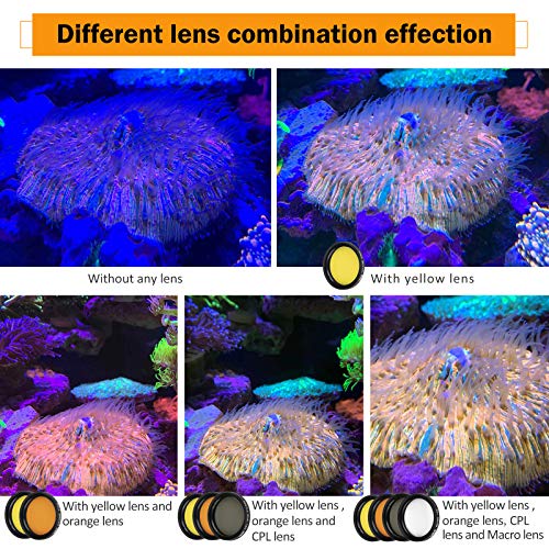 Reef Coral Lens Phone Kits 5 Lenses Kit 1 Dust Shield Case