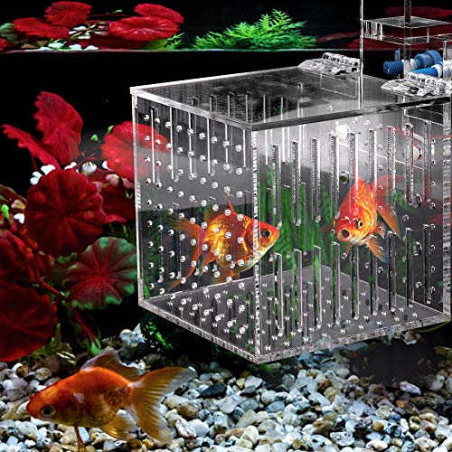 Acrylic Fish Isolation Box, Multifunctional Aquarium Isolation Box for New or Sick Fish, High Clarity Transparent Tank Divider with Adjustable Height for Open Fish Tanks