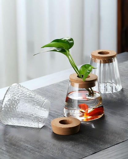 Glass Hydroponic Planter, Water Culture Vase with Wood Plant Support Lid, Clear Visual Design, Suitable for Desk Decor Water Plant Display Small Fish Tank or Low-Maintenance Greenery Accents