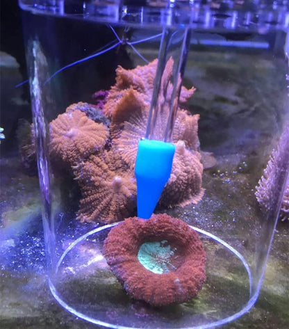 Aquatics Acrylic Coral Feeding Protection Cover for Aquarium Fish Tank Feeder (100x120mm)