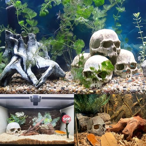 Aquarium Decoration for Fish Tank Skull Head Rock Cave-Small | Fish Tank Ornament Decorative Hideouts Landscape Aquarium Decor Reptile House Cave Aquarium Decoration