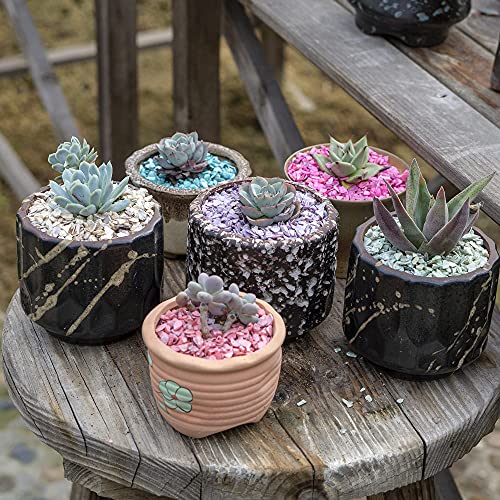 1.4 LB Crushed Shell Chips Broken Pieces for Resin Arts,Light Lavender | Craft Projecting,Vase Fillers,Succulents Terrarium Plants Soil Cover,Candle Holder,Aquarium,Table Centerpiece,Home Decor