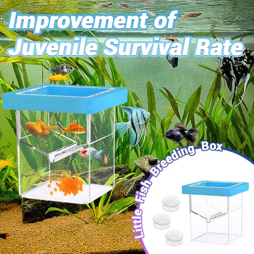 Breeder Box for Fish Tank,Isolation Breeding Box with Layered Design,Floating Fish Breeder Box for Aquarium,Adsorption and Suspension,Blue