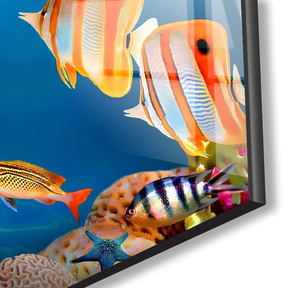 Myphotostation Coral Reef Wall Art Tempered Glass Wall Art 12x12'' Fish at Aquarium Wall Art Modern Decor Glass Printing Large Wall Art Tempered Glass Panel Under Sea Wall Art Sea Life Wall Art - size: 12"L x 12"W