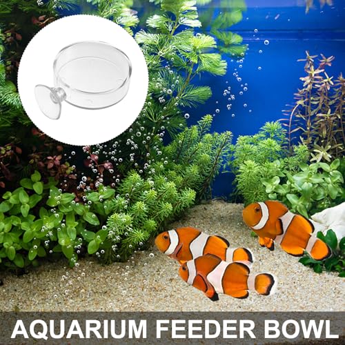 Kisangel 5 Pcs Acrylic Fish Feeder Bowl with Suction Cup 6.5cm Fish Food Holder for Aquarium and Shrimp Tank Feeding Accessories