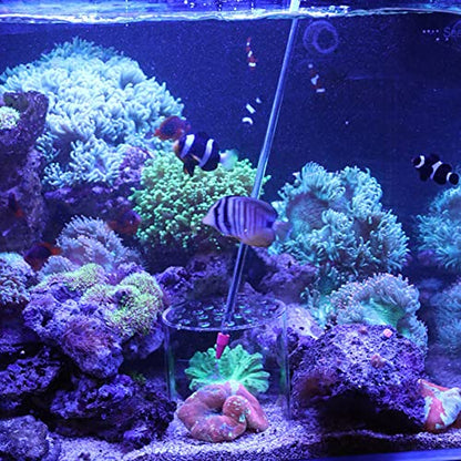 Acrylic Transparent Feeder Cover, Aquarium Feeding to Prevent Fish and Shrimp from Stealing Food, for Reproduction and Safe Feeding in Fish Tank (120mm) - size: 120mm
