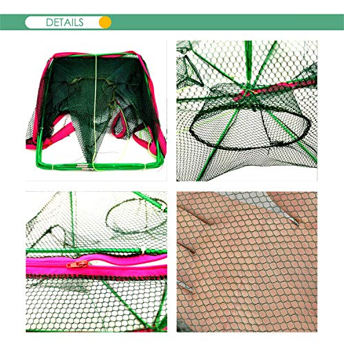 Foldable Bait Trap Fishing Net - Hand Cast Cage for Catching Fish Shrimp Crab Crawfish - color: Green, size: 6 Entrances