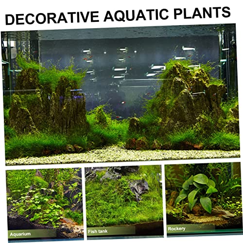 Abaodam 1set Fish Tank Divider Aquarium Isolation Board for Breeding Separation Transparent Cups for Fish Tank Supplies - color: Transparent