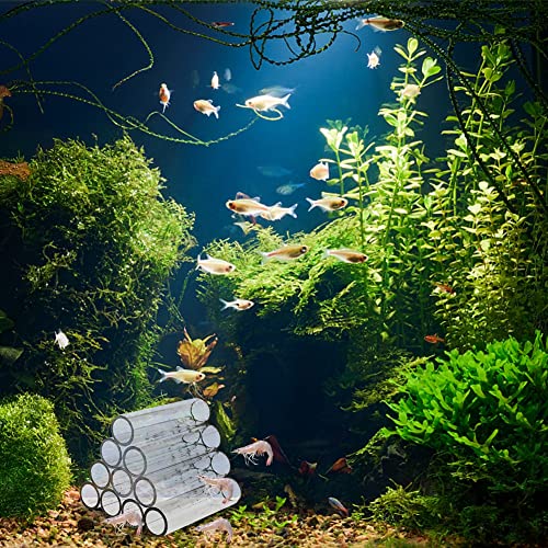 Gigicloud Aquarium Acrylic Crystal Shelter House Transparent Acrylic Breeding Tube Shrimp Fish Hide Cave House Breeding Tube Hiding Cave Hideaway Pipes Reduce Stress
