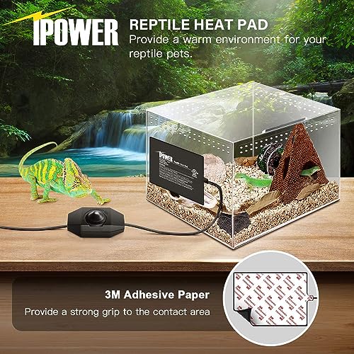 iPower 6 by 8-Inch 8 Watts Reptile Heating Mat with Temperature Controller Under Tank Warmer Terrarium Heat Pad for Reptiles and Amphibians, Black - size: 6" x 8", style: Heat Pad with Adjust Knob