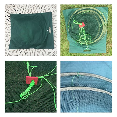 Foldable Fish Catching Net, Hand Cast Cage for Shrimp and Crab - size: Top Dia:39.37" Bottom Dia:31.5"