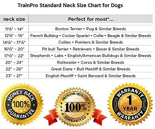 Waterproof TPU Replacement Strap for Dog Training Collar, 27.5 in - color: Red Reflect