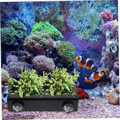Marine Sources Aquarium Clear Acrylic Coral Frag Plugs Rack Holder SPS Coral Support Seawater Fish Tank Accessories Magnetic (CRB-M-G13) - size: CRB-M-G13