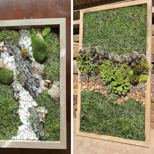 Preserved Moss for Crafts Potted Plants 2 sq.ft. Dried Natural Preserved Moss Mat Green Moss for Planters Crafts Woodland Decor Garden Party Decorations Wall Art DIY Project Green