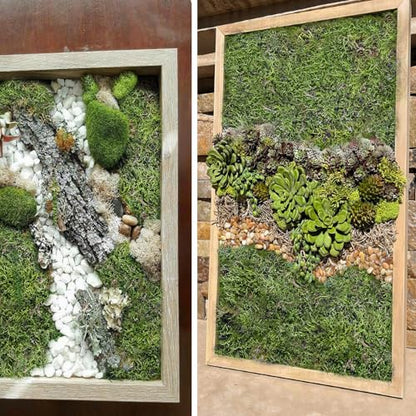Preserved Moss for Crafts Potted Plants 2 sq.ft. Dried Natural Preserved Moss Mat Green Moss for Planters Crafts Woodland Decor Garden Party Decorations Wall Art DIY Project Green