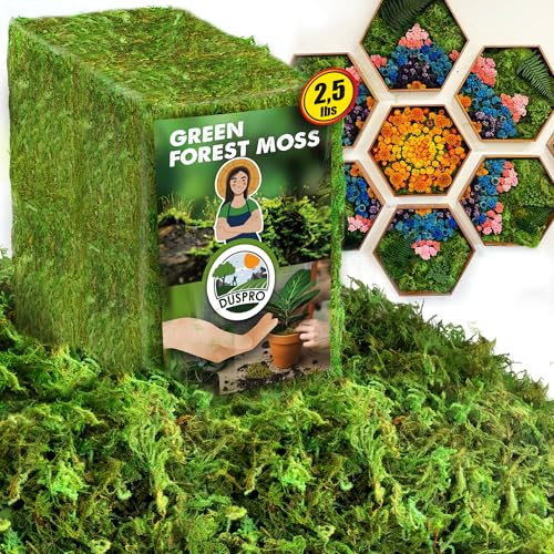 Green Forest Moss for Crafts, Real Dried Decorative Moss, 2.5 Lbs | Indoor Planter Soil Cover, Table Centerpieces, Wedding, Easter & Christmas Decor, DIY Projects - color: 2.5 Lbs