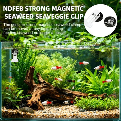 Magnetic Seaweed Feeding Clip for Saltwater Aquarium, Automatic Fish Feeder with Algae Magnet Clip, Glass Tank Accessory for Aquatic Pets, Up to 15mm Glass Thickness - color: Black-2Pcs