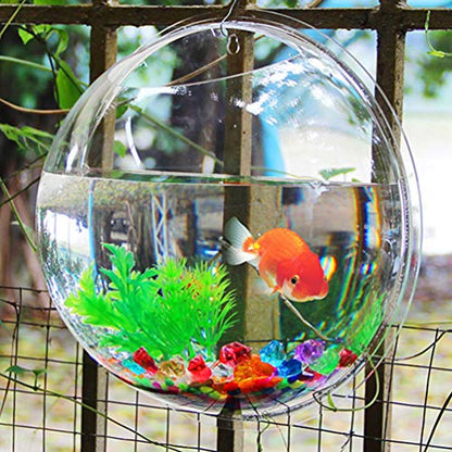iplusmile Wall Mounted Fish Bowl 5.90 Inch Acrylic Hanging Aquarium Tank Transparent Fish Tank Home Decor Space Saving Design - size: 6 Inch