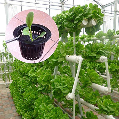 Beautyflier 50 Pcs Black Plastic Slotted Mesh Net Plant Cups Pots Bucket Basket for Hydroponics/Aquaponics/Orchids (50MM)