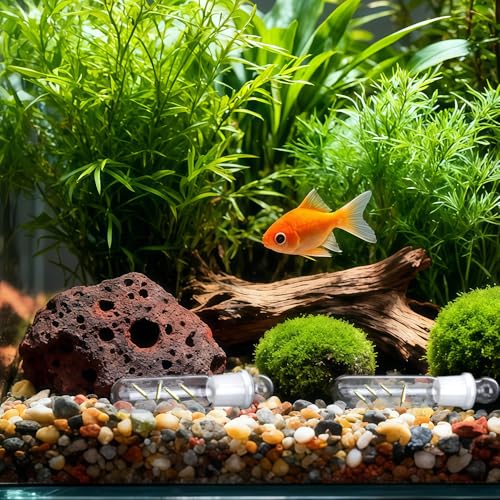 DQITJ 2 Pack Planaria Catch Trap Aquarium Clear Glass Leech Flatworm Bristle Worm Trap Tube Catcher for Red Cherry Shrimp Dwarf Shrimp Tank (1 Holes+3 Holes)