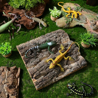 Toyvian Natural Cork Bark Terrarium Background, 4 Pack 6x6inch Reptile Enclosure Decor Panels Climbing Habitat Accent for Gecko Lizard Frog
