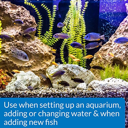 API Stress Coat Aquarium Water Conditioner 16-Ounce Bottle - size: 16 fl oz, style: Aquarium Treatment without Pump