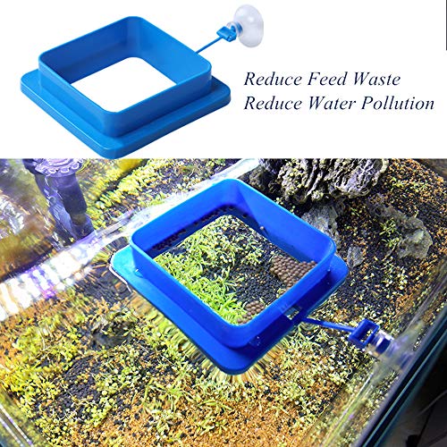 Fish Feeding Ring, Floating Food Feeder Thicken Square, Reduces Waste and Maintains Water Quality, for Flakes and Floating Fish Foods, for Guppy, Betta, - color: Blue Wide