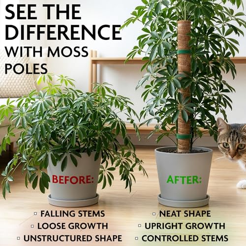 2 Pcs Moss Sticks for Indoor Plants Climbing with Coconut Fiber and Plant Tie Tape - 15.75 Inch Stackable Small Moss Pole for Monstera, Pothos, Philodendron, Money Plants & Indoor Houseplant Vines