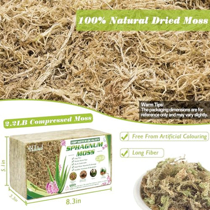 Halatool 2.2 LB Sphagnum Moss for Plants, 40 QT Long Fiber Orchid Moss | Drainage & Moisture Retention, Natural Moss for Ferns, Succulents, Carnivorous, Orchid Repotting, Terrariums, Reptile Bedding - size: 40 qt (2.2 lbs)