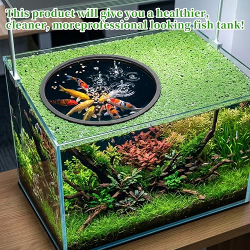 10 Pcs Fish Feeding Ring, 5 Sizes Aquarium Floating Plant Barrier, Round Floating Rings EVA Feeder Rings Float Plant Corral Fish Tank Accessories for Goldfish, Betta