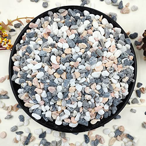 10LB Succulent and Cactus Gravel Pebbles, 1/5 Inch Mixed Color | Natural Decorative Polished Stones River Rocks for Vases, Aquariums, Terrarium and Outdoor Gardening - color: Mixed, size: 10 Pounds