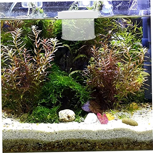Kisangel Floating Fish Isolation Box Acrylic Breeding Tank for Small Fish Durable and Reliable Aquarium Divider Design for Easy Observation and Fry Care - color: Transparent