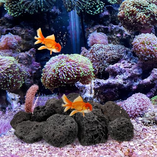 FOMIYES 1 Pack of Natural for Aquariums and Potted Plants, Small Volcanic Stones for Decorative Use, Ideal for Landscaping and Drainage