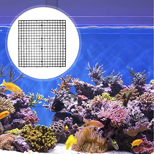 COLLBATH 10pcs Fish Tank Grid Divider Tray Aquarium Separation Net for Breeding and Aggressive Fish Easy Installation Isolation Board for Bottom Use