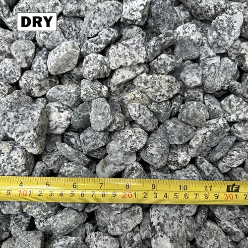 11 Pounds of Big Dalmatian Granite Stones 1" to 2" Size, Rocks Gravel Pebbles for Landscaping, Terrariums, Aquariums, Gardens, Pond Water Features, Flower Pots, Decorative Walkways, Bonsai, etc