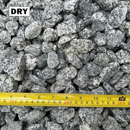 11 Pounds of Big Dalmatian Granite Stones 1" to 2" Size, Rocks Gravel Pebbles for Landscaping, Terrariums, Aquariums, Gardens, Pond Water Features, Flower Pots, Decorative Walkways, Bonsai, etc