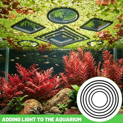 10 PCS Betta Feeding Ring Set, 5 Sizes Round & Square Aquarium Floating Plant Barrier, Fish Feeding Rings for Freshwater & Saltwater Tank, Fish Tank Decor Accessories