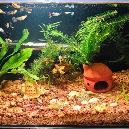 M2cbridge Natural Clay Pottery Ceramic Jar Vase Cichlid Small Fish Shrimp Aquarium Decor to Play Hide Breed Habitat (Red Clay, 2pcs) - color: Red Clay, 2pcs