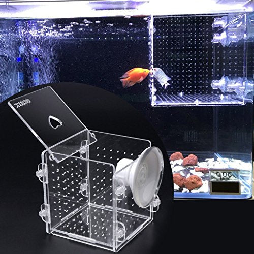 Fish Breeding Box Clear Acrylic Fish Isolation Boxes Aquarium Hatchery Incubator with Suction Cup for Newborn Shrimp