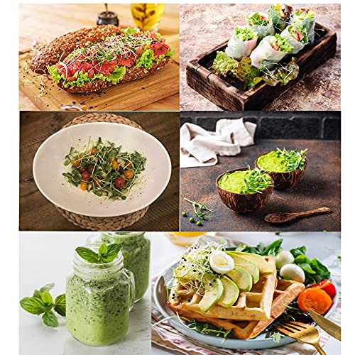 Microgreens Kit Refills - 9 Mats and 9 Different USA Seed Packs | Refill set with 9 plant mats and 9 seed packs for the ZestiGreens microgreens growing kit - color: Sampler Microgreens Refill